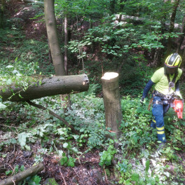 Pracovní plošina DENKA LIFT 30 L