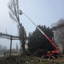 Rizikové kácení stromů